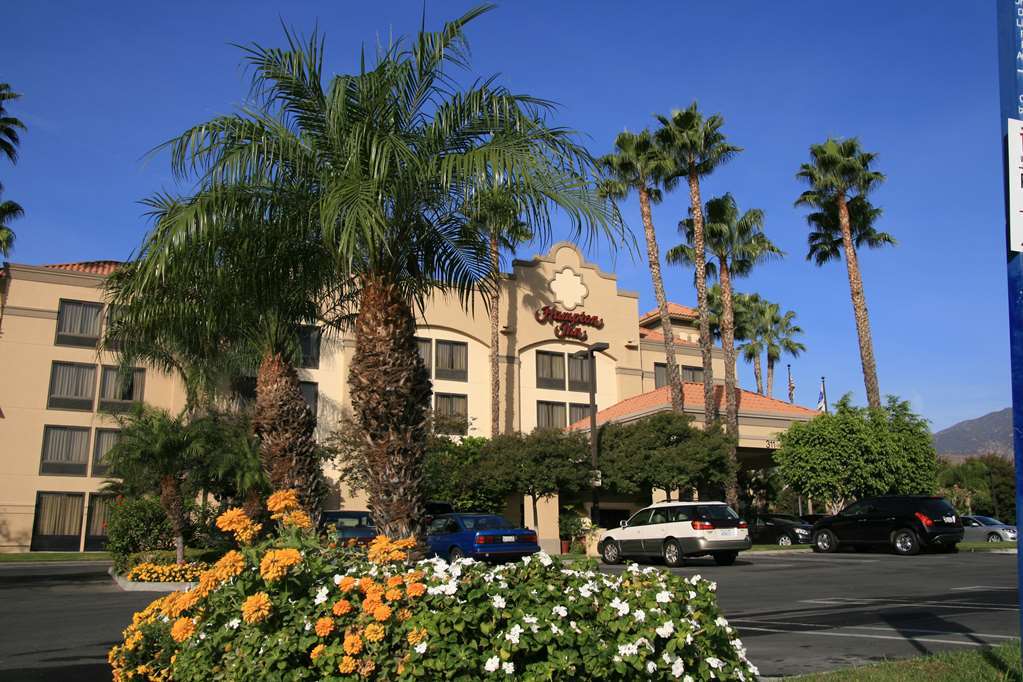 Hampton Angeles/arcadia Hotel